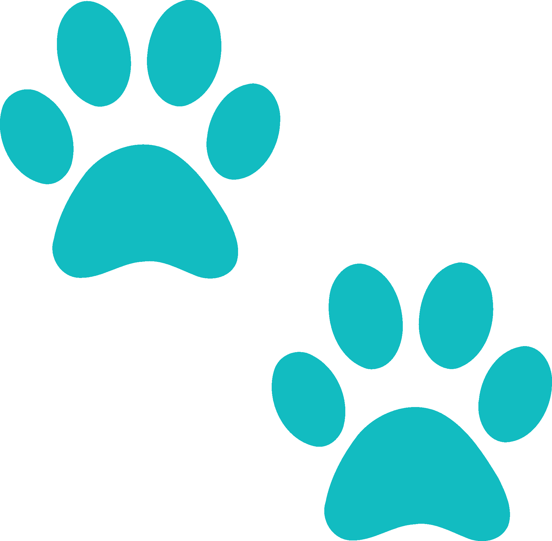 Paws Are Us Van