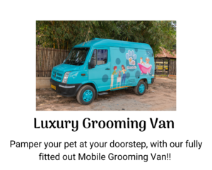 Luxury_van